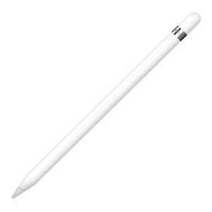 Apple Pencil USB Tipo-C blanco