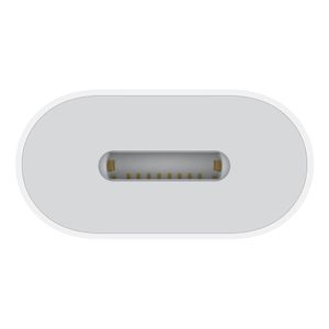Adaptador Apple OTG Tipo-C hembra a Lightning macho