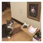 image-d13bcc9e7e4b43688d4a2a8312034c0a