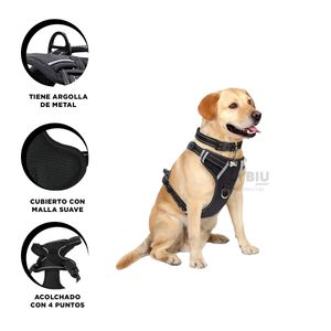 Pechera Harness Acolchado para Perro Talla S de Color Negro