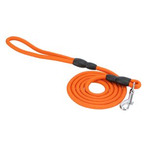 Correa para Mascota