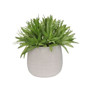 Maceta Cerámica Planta Ribb 20 x 22 cm