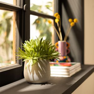 Maceta Cerámica Planta Ribb 20 x 22 cm