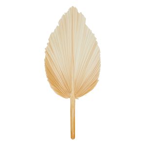 Hoja Palmera