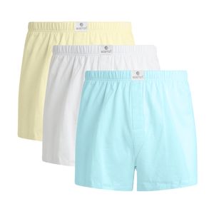 Pack x3 Short Boston Multicolor 2