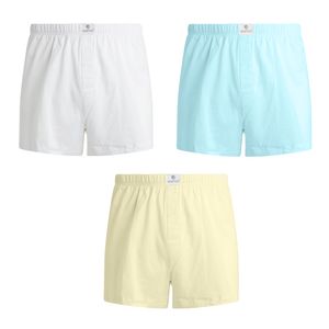 Pack x3 Short Boston Multicolor 2