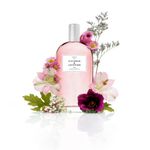 image-dac676c10864452fb9b98b4db837aed3