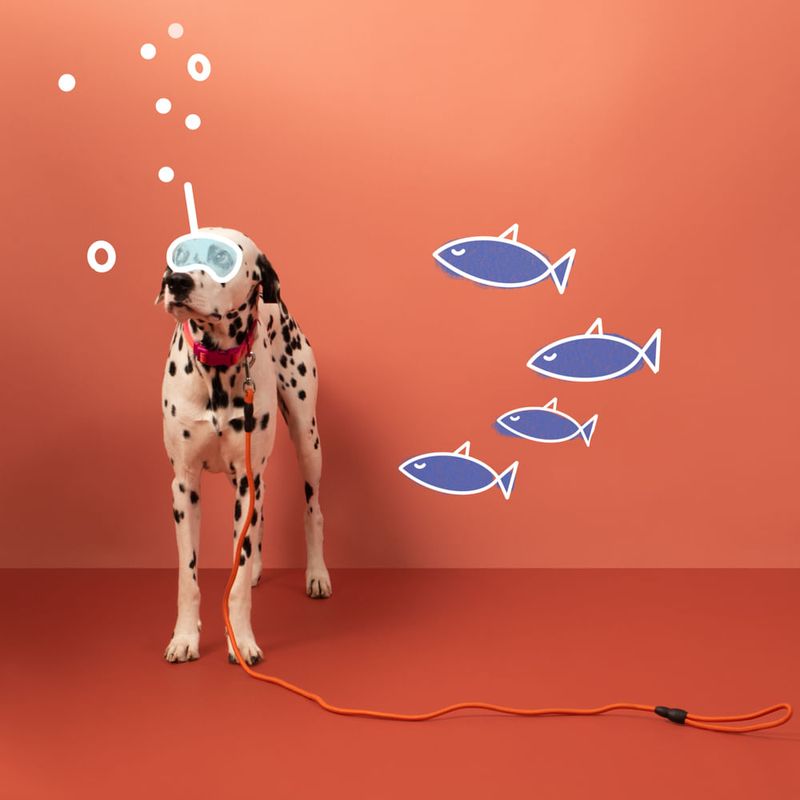 image-9d697bc4fbad41e7a162fe4be8cc7c51