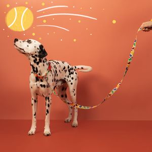 Correa con Diseño para Mascota