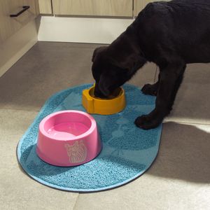 Plato para Mascota