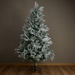 image-36370c184b8443bbbc3dc5f0b9fcd48a