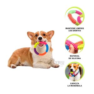 Aro de Juguete Pet de 14.5 cm Multicolor Y+Papel de Regalo