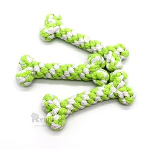 Juguete para Mascotas Divertido Tono Verde Y+Papel de Regalo