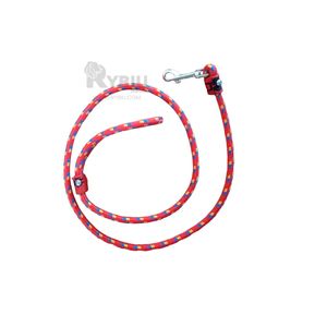 Correa para Perro Basico en Multicolor Y+Post-it adhesivos