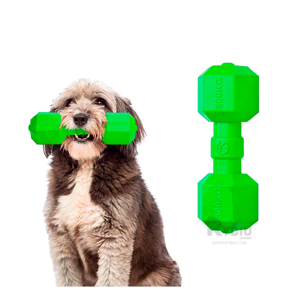 Dieffenbachia Camila M (p14) | Árvore Plantas, image size:1200x1200