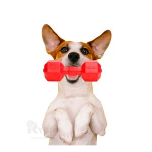 Juguete Interactivo para Perros Tono Rojo Y+Papel de Regalo