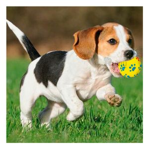 Pelota de Plastico en Amarillo Talla L Y+Papel de Regalo