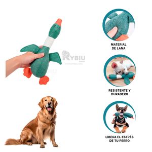 Peluche Atractivo de Pato en Tono Verde Y+Papel de Regalo