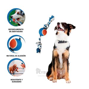 Soga con Pelota de Tennis Pet Multicolor Y+Papel de Regalo