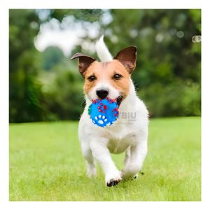 Pelota de Plastico Pet Huellas en Celeste Y+Papel de Regalo