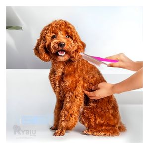 Peineta Portátil Pet para Pelo en Tono Fucsia Y+Agendita