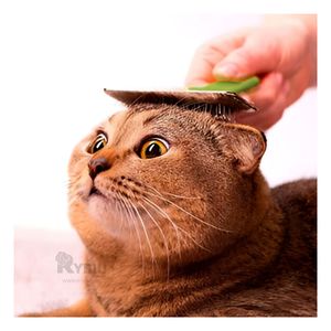 Peineta Portátil Pet para Pelo en Tono Verde Y+Agendita