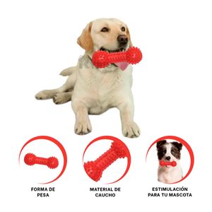 Juguete Estimulador de Dientes Color Rojo Y+Papel de Regalo
