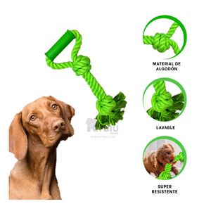 Soga Ideal para Mascota Tono Verde Limon Y+Papel de Regalo
