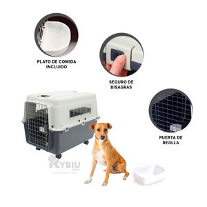 Transportador Ideal para Mascota L80 Plomo Oscuro Y+Stickers