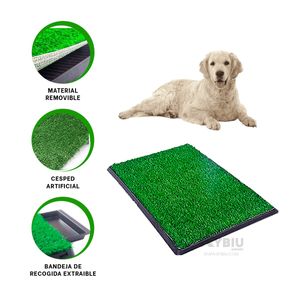 Baño Cesped Artificial para Perro Talla L Negro