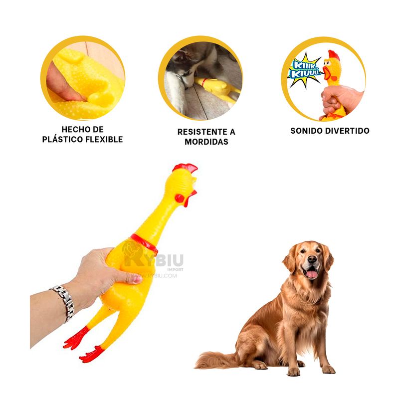 Dispensador de Agua para Perros en Color Plomo Y Agendita Real Plaza