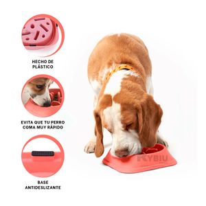 Plato Resistente para Comer de Color Rojo Y+Agendita