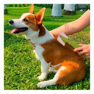 Peineta Mascotas con Puntas de Metal Suave Talla S Verde