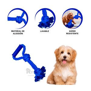 Soga Ideal para Mascotas en Color Azul Y+Papel de Regalo