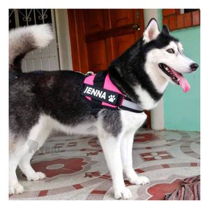 Pechera Profesional en Talla S Mascota en Rosado Y+Agendita