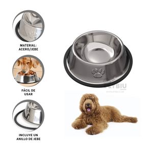 Plato de Base Antidezlizante en Talla L Y+Papel de Regalo