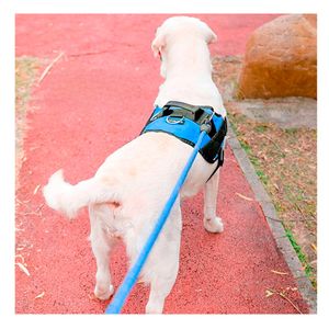 Pechera de Perros Talla XL en Azul Y+Post-it adhesivos