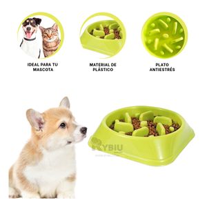 Plato para Mascota Eficaz de Color Verde Y+Papel de Regalo
