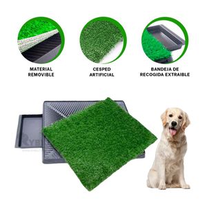 Baño para Mascota Removible Talla L Negro Y+Papel de Regalo