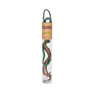 Set Terra 8 Mini Serpientes En Tubo