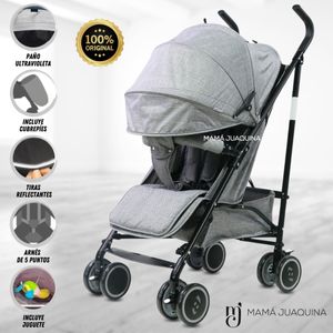 Coche Bastón de Lujo Raylend II Edición Limitada Gris