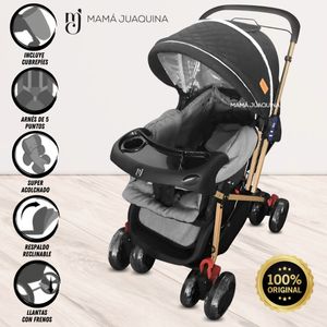 Coche Cuna de Lujo Chantise Edición Limitada Negro