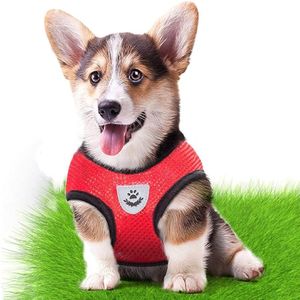 Pechera De Malla Para Mascotas