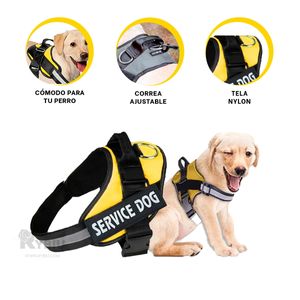 Arnes para Perros Activos Talla S de Color Amarillo