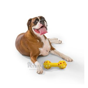 Hueso Compacto de Color Amarillo Y+Regalo Stickers