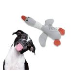 imageUrl_3