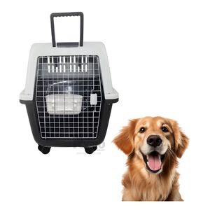 Transportadora Moderna L100 en Color Negro Y+Regalo Stickers