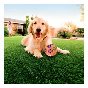 Pelota de Plastico Pet Huellas en Naranja Y+Papel de Regalo