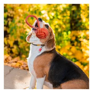 Soga Resistente para Can Naranja Y+Papel de Regalo