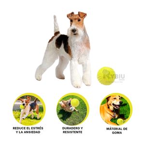 Pelota Juguetona y con Rayas Verde Limon Y+Papel de Regalo
